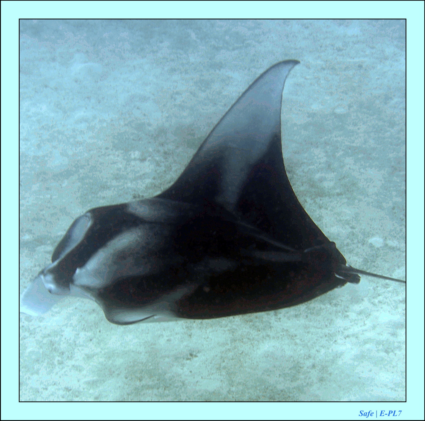 2023 - 07 - Sandies Bathala - 132